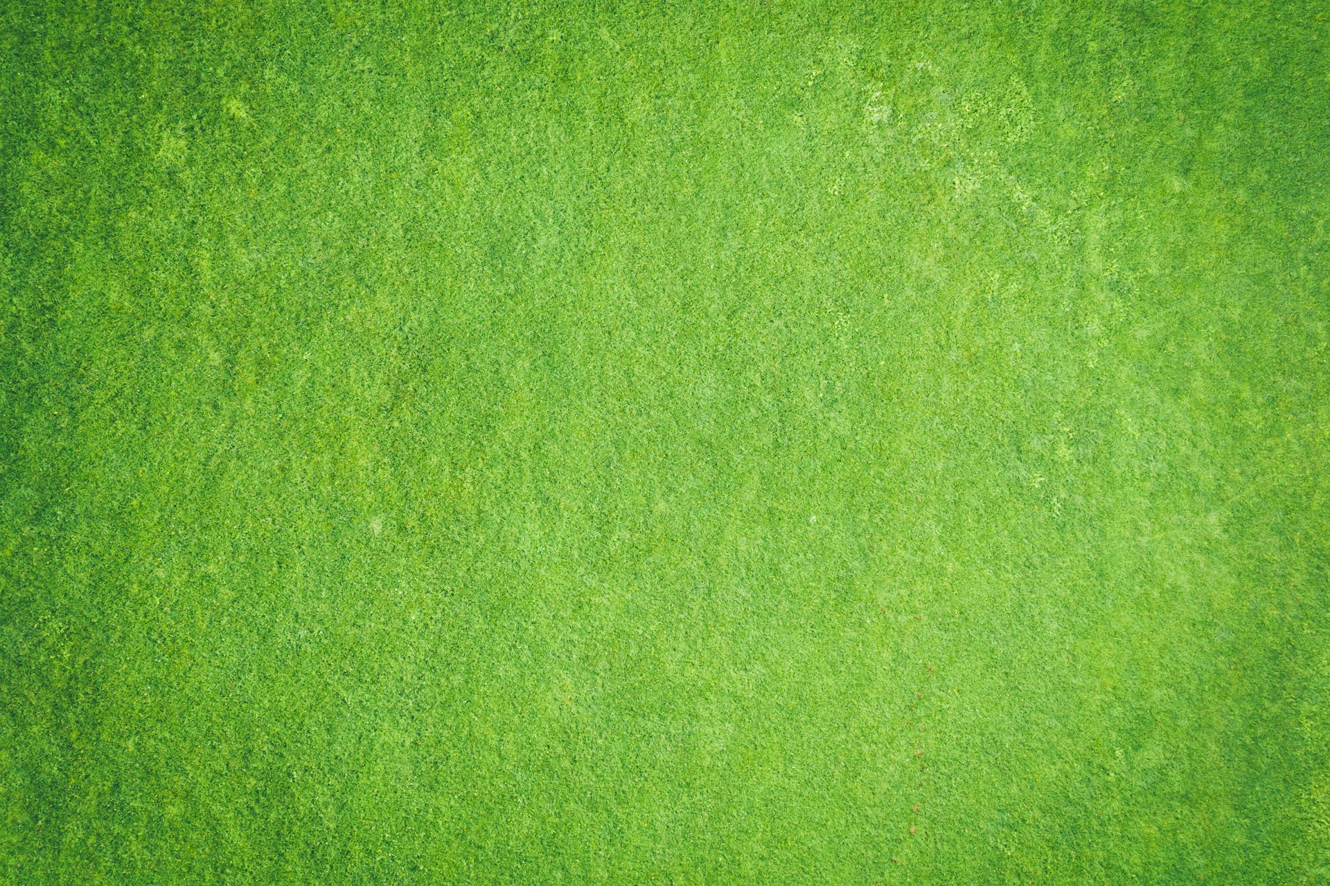 green textile in close up image